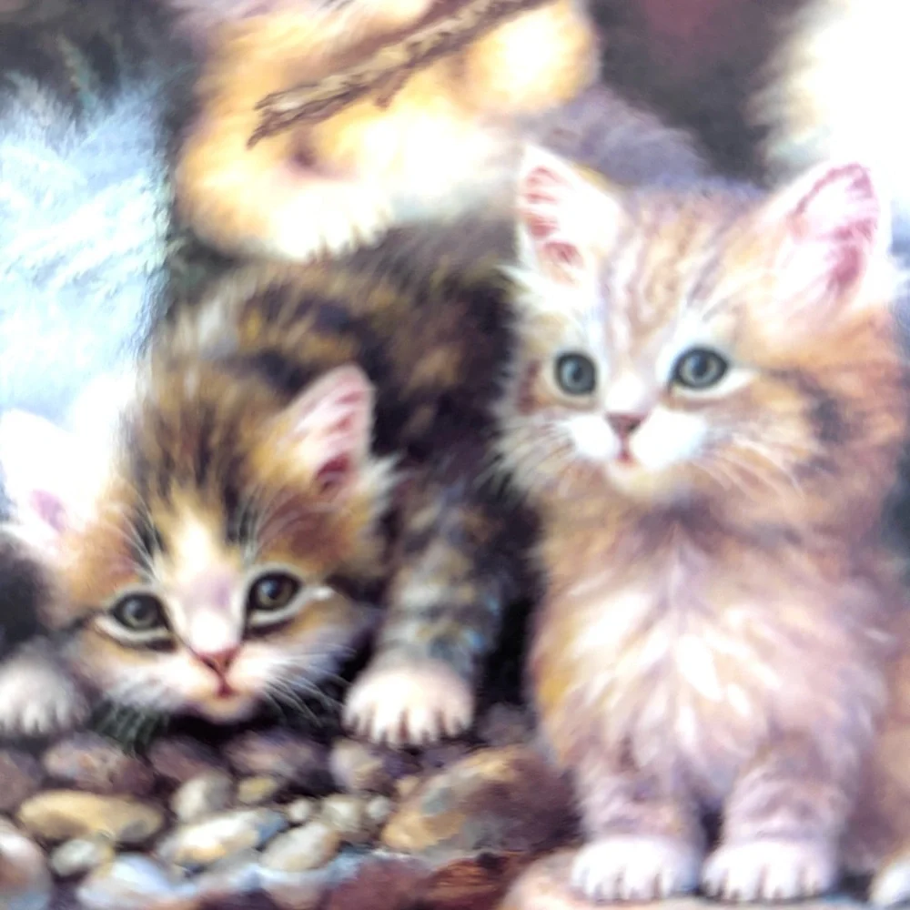 Vintage Bradford Exchange Decorative 1990 Lily Pond “Kitten Expedition” Plate‎